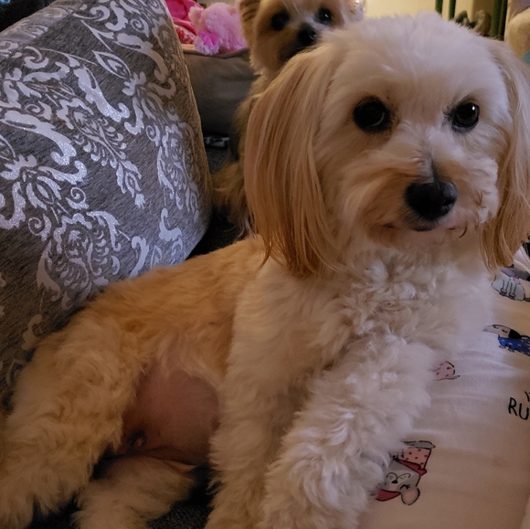 Massy xoxo ♡ - Picture 6 of 16